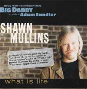 Shawn Mullins - What Is Life