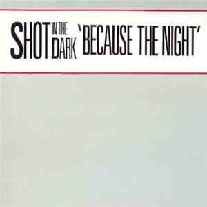 Shot In The Dark - Because The Night