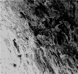 Sleep Column - Black Bleeding Surface