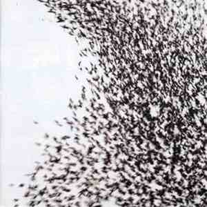 Wilco - Sky Blue Sky