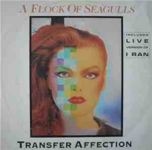 A Flock Of Seagulls - Transfer Affection