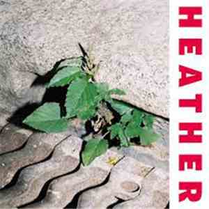 Heather  - Inside