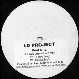 LD Project Feat Q-ic - Flowy Joey