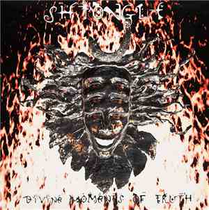 Shpongle - Divine Moments Of Truth