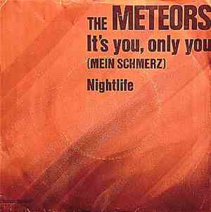 The Meteors - It's You, Only You (Mein Schmerz)