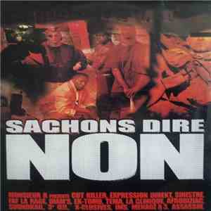 Various - Sachons Dire Non Volume I