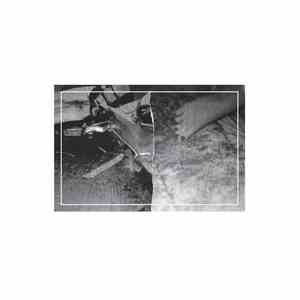 Halt Ever - Body Limits