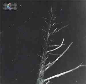 Peter Broderick - (Colours Of The Night) Satellite