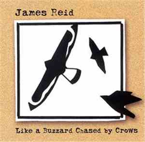 James Reid - Like A Buzzard Chased By Crows