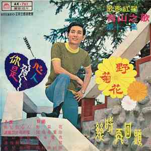 青山 - 你是負心人 / 野菊花 / 第11集