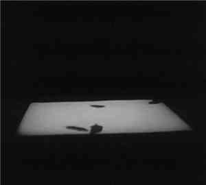 Alfredo Costa Monteiro & Tim Olive - A Theory Of Possible Utterance