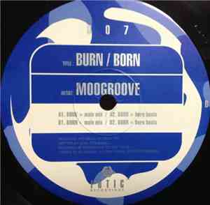 Moogroove - Burn / Born
