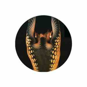 Various - VINYLITXB01