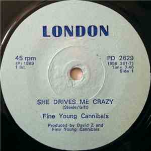 Fine Young Cannibals - She Drives Me Crazy