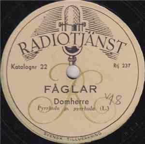 No Artist - Fåglar