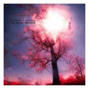 Controlled Bleeding - In Blind Embrace (Songs From The Shadows)