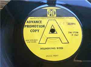 Jackie Trent - Humming Bird