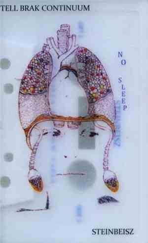 Tell Brak Continuum / Steinbeisz - No Sleep
