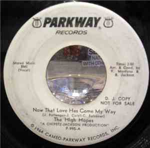 The High Hopes / The Trends - Now That Loves Has Come My Way