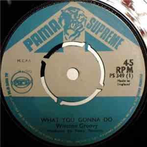 Winston Groovy - What You Gonna Do