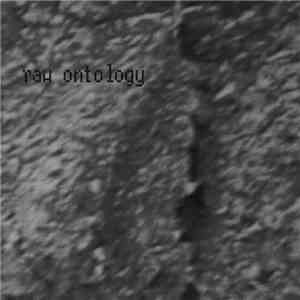 900piesek - Raw Ontology