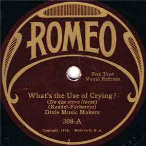 Dixie Music Makers - What's The Use Of Crying? / Please Stay Away When You' ...