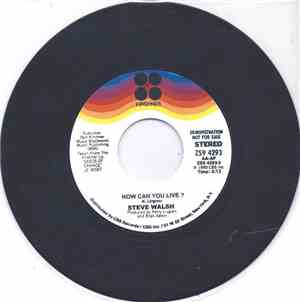 Steve Walsh - How Can You Live?