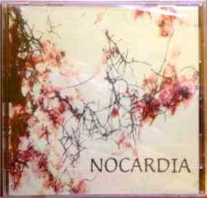 Nocardia - Nocardia