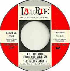 The Fallen Angels  - A Little Love From You Will Do