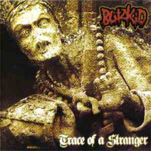 Blitzkid - Trace Of A Stranger