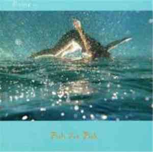 Fish For Fish - Diving