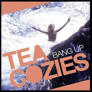 Tea Cozies - Bang Up