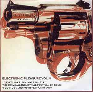 Various - Electronic Pleasure Vol.II