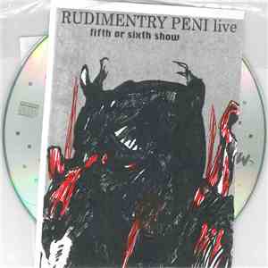 Rudimentary Peni - Fifth Or Sixth Show