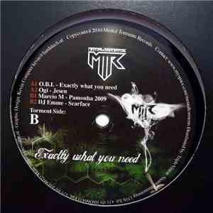 Various - Exactly What You Need