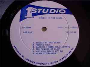 Various - Reggae in the Grass