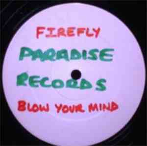 Fire Fly - Blow Your Mind / To The Max