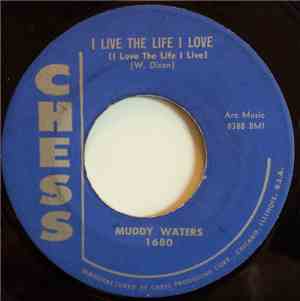 Muddy Waters - I Live The Life I Love (I Love The Life I Live)