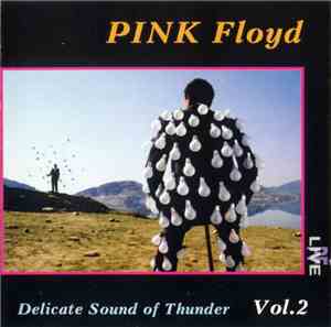 Pink Floyd - Delicate Sound Of Thunder. Vol. 2