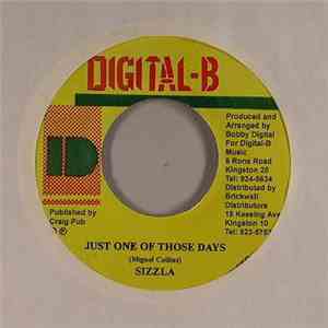 Sizzla - Just One Of Those Days