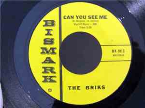 The Briks - Foolish Baby / Can You See Me