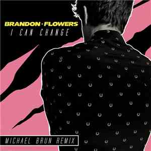 Brandon Flowers - I Can Change (Michael Brun Remix)
