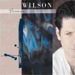 Brian Wilson - Brian Wilson