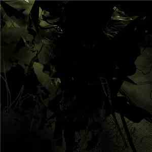 Diana Alvarez & H-LR - Split