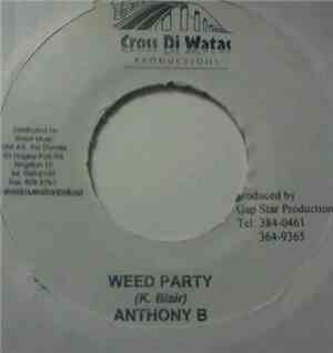Anthony B - Weed Party