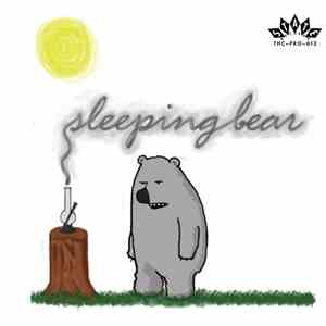 Sleeping Bear  - Sleeping Bear