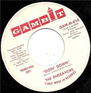 The Endeavors - Goin' Down / Stereo