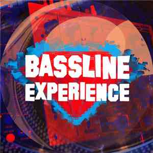 Bassline Experience - Sometimes LP