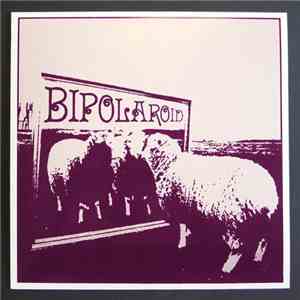 Bipolaroid - Transparent Make-Believe