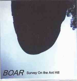 Boar - Survey On The Ant Hill